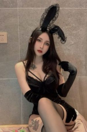 4080新视觉